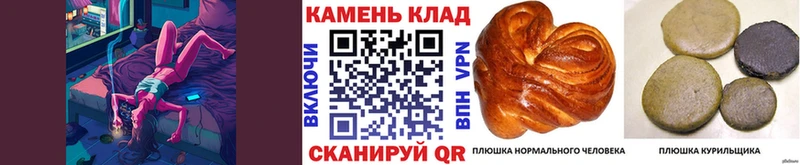 где продают   Киреевск  ГАШ гашик 