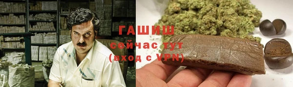 прущие грибы Бугульма